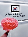 블루드래곤태권도