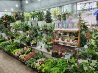 대보조경식물원