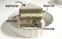 하우스케이크