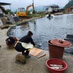 주덕양어장식당