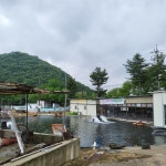 주덕양어장식당