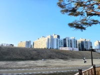 신현대공인중개사사무소