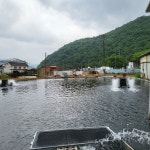 주덕양어장식당