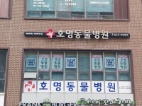 호명동물병원