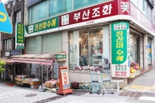 진선미모사