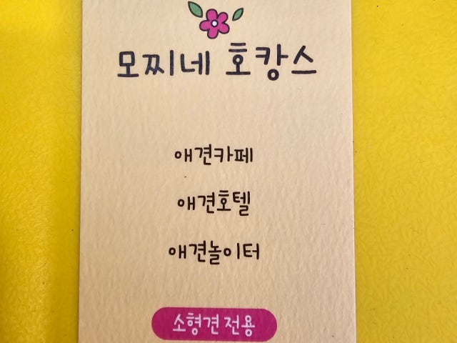 모찌네호캉스