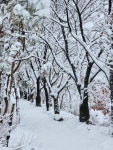 가든스튜디오 목연