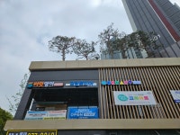 써밋영어교습소