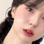오이에스리뉴어블스 | 오이어
