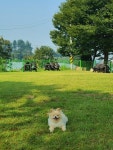 개인카페