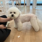 토리멍