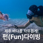 난바다 프리다이빙