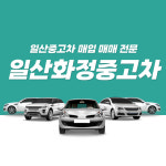 일산화정중고차