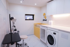 옐레드 애견유치원&애견호텔 광명점