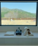 안림가