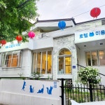 오묘고양이카페호텔미용