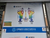 신체 발란스운동