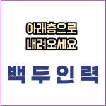 백두인력직업소개소 용인처인역북점