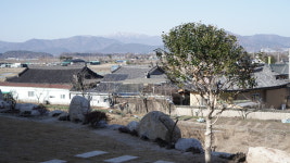 센트레