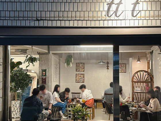터틀턴 사진