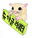 리틀쥬동물병원