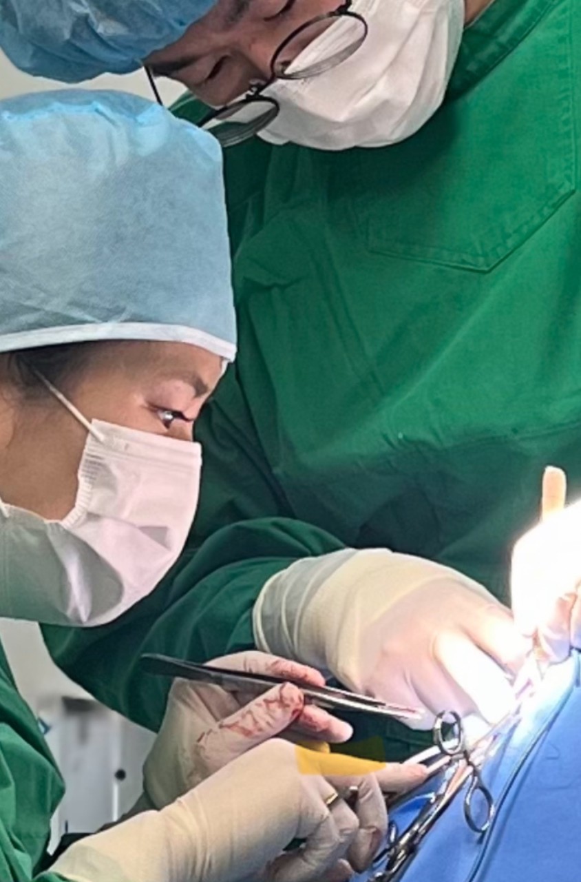 조이고양이병원x조이강아지병원