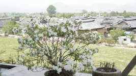 센트레