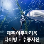 난바다 프리다이빙