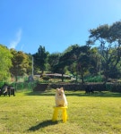 개인카페