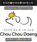 슈슈댕 강릉유천점