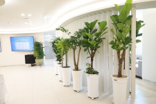 모세내과의원