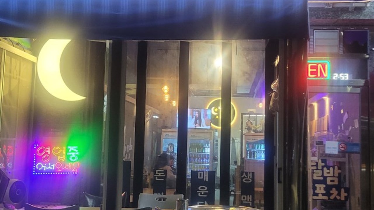 달밤