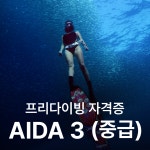 난바다 프리다이빙