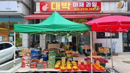 대박야채과일