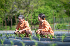 무등산생태요양병원