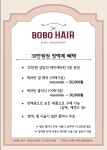보보헤어