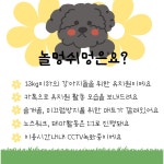 놀멍쉬멍