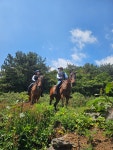 산록목장