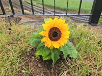 한드미황토사랑채