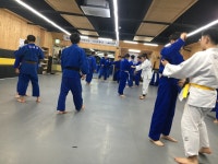 방탄유도관
