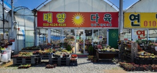 태양다육