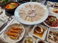 정자참가자미