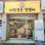 이번생은 댕댕이