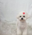 멍이살롱