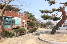 로빈의숲