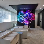 그레이스 고양이 심장&치과병원