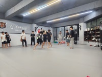 팀저스티스mma킥복싱