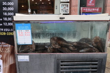 동전삼 광주동천본점