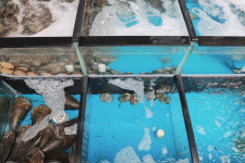 동전삼 광주동천본점