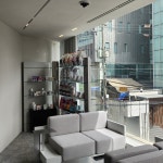 그레이스 고양이 심장&치과병원